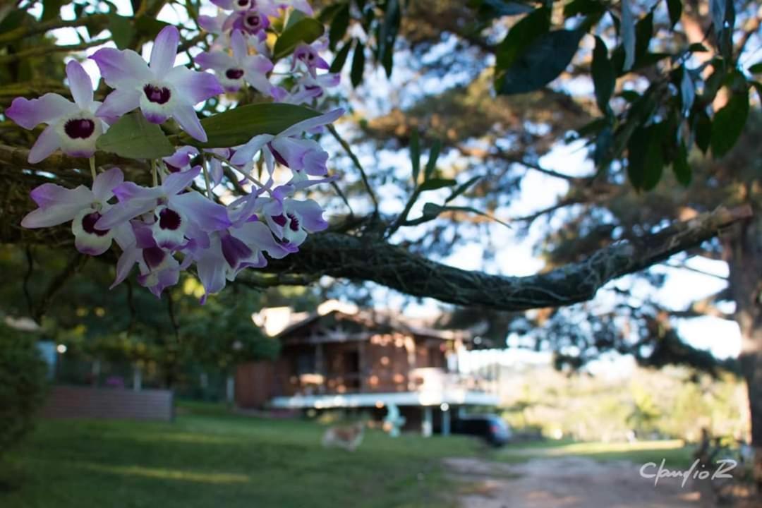 Linda Casa De Campo Viamao Bagian luar foto