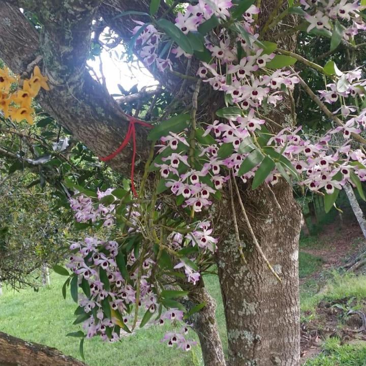 Linda Casa De Campo Viamao Bagian luar foto