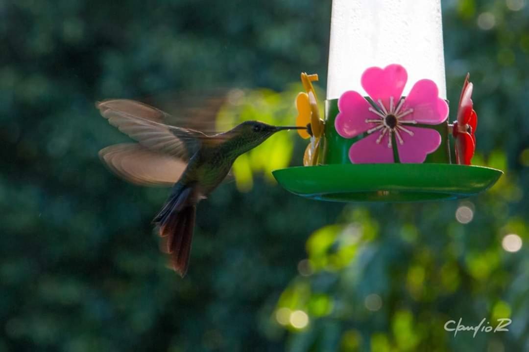 Linda Casa De Campo Viamao Bagian luar foto